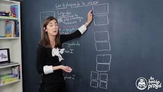 Les 8 étapes de la méiose - SVT - Les Bons Profs
