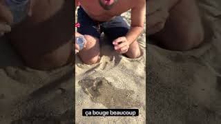 C'est quoi ce monstre ? 😨