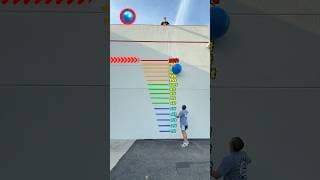 Which Ball Bounces The Highest!?