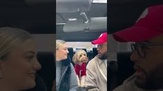 Mini Cockapoo thinks before making her decision… 😳😂 #minicockapoo #doglover #viral #shorts