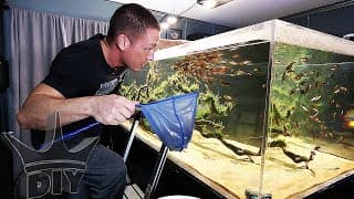 STINGRAY ADDED TO THE AQUARIUM