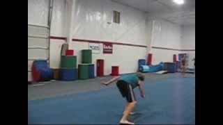 Bob Reese 2011 showreel.wmv