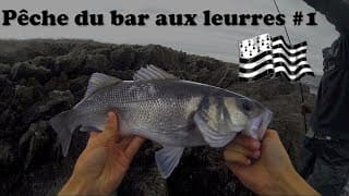PECHE DU BAR EN BRETAGNE - Une matinée aux leurres !