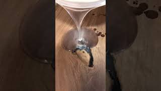 Let Us Know Your Thoughts on Our First Silver Pearl Table!   #woodworking #epoxy #wood