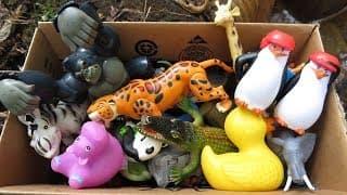 Variety of Zoo Animals for Kids! Toy Showcase