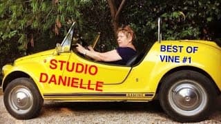 STUDIO DANIELLE - BEST OF VINE #1