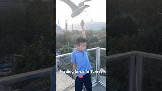 Watch What Happens When I Feed The Birds 🐦 #shorts #travel #kavenadventures