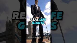 Real Life Giants That Exist Today #shorts