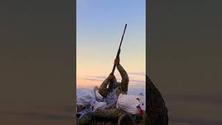 Crushed it with Decoy Wear | Snow Goose Hunt 2023 #hevishot #cabelas #benelli #divebombindustries