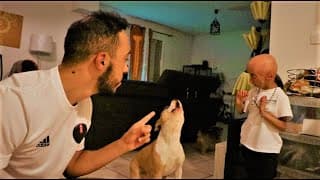 RANIA RENCONTRES MES CHIENS ! TOUT NE S'EST PAS PASSER COMME PRÉVU...NALA SE JETTES SUR ELLE !