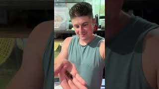 cruel lizard! #terrarium #animals #lizard #shortswithzita #rock_n_insectes