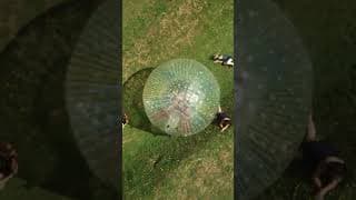 Everyone Got CRUSHED! 😳