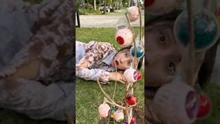 Poor cat and eyes candy 👁️