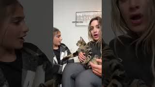 THE WAY HE TREID TO SLAP HER 😂 #shorts #viral