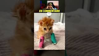 Ne Partez Jamais Ici... #shorts #viral #youtubeshorts