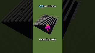 Best Minecraft Optical Illusions