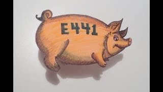 صدق او لا تصدق: انت تاكل الخنزير منذ طفولتك