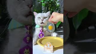 Longyin Poached Egg Is So Cute!🤤😲😍 (ASMR) | Chef Cat Cooking | Creative Food Idea #tiktok #Shorts