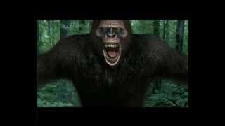 Bigfoot Animation