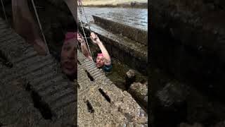 Être dans la m***e jusqu'au cou au sens littérale ! 💩