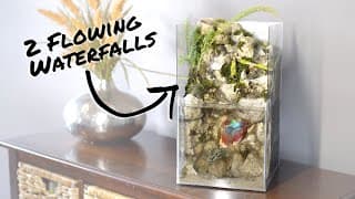 Building Tiny Aquaterrarium with 2 Waterfalls for $65