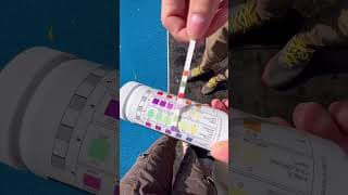 Do you have to do this where you live? #shorts #pool