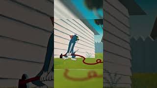 Jeu de chat jeu de vilain #shorts #Tom&jerry #cartoonitofrance