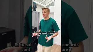 Comment tromper en toute impunité