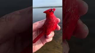 Red Cardinal Toy Water Splash!  #KidsLearning