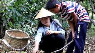 板栗熟了，弟弟粘着我去打板栗，给他做了板栗烧鸡解解馋！【滇西小哥】