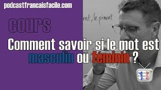 Comment savoir si un mot est masculin ou féminin (niveau A1/A2)