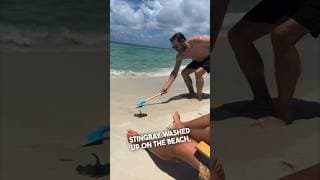 This guy got fooled at the beach 😂