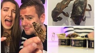 Dégustation d'insectes en live avec Jeremstar