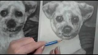 Speed Drawing: Cocoa the Doggie