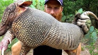 ARMADILLO Hunt with CATCH NET, Foraging the Wild for Tree-Berries | ASMR (Silent)