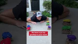 Baby Tortoises Go Back To School 🥹🐢🚌 #shorts #backtoschool