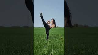 kicks & fields 😍 #martialarts #shortsfeed #stunt