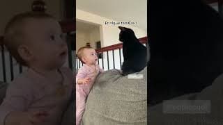 Tire pas les poils !! 😾 #Shorts #EddieDoublage #EddieCuDi #DoublageAnimaux