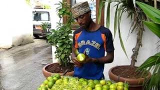 Zanzibar Orange Peeler