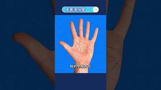 掌中的粗紋與細紋隱藏的奧秘 #金菩提相學