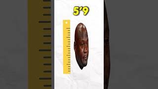 This Quiz Will Guess Your Height😲