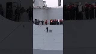 Sharks Might Eat You If You Try This