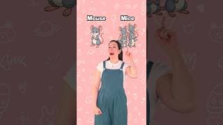 Les pluriels irréguliers en anglais 🇬🇧 #apprendre #enfants #débutant #vocabulaire #english