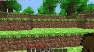Minecraft: A beginners tutorial with HuskyMUDKIPZ