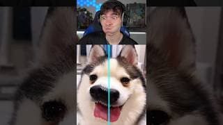 C’EST IMPOSSIBLE DE PAS RIRE 😂