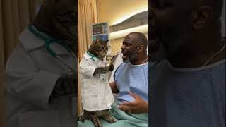 Cat Doctor Confronts Confused Patient #shorts