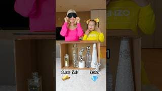 $1 Water vs $500 Water – Blind Taste Test!