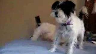 Chelsey and Abbey #epic