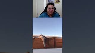 YOU DONT LOOK AFRICAN 😂