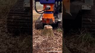 This Attachment Can Remove Stumps In seconds #satisfying #shortsfeed #shorts